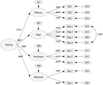 Academic psychological capital questionnaire 12 (APCQ-12): psychometric validity and measurement invariance in a Chilean sample of high school students